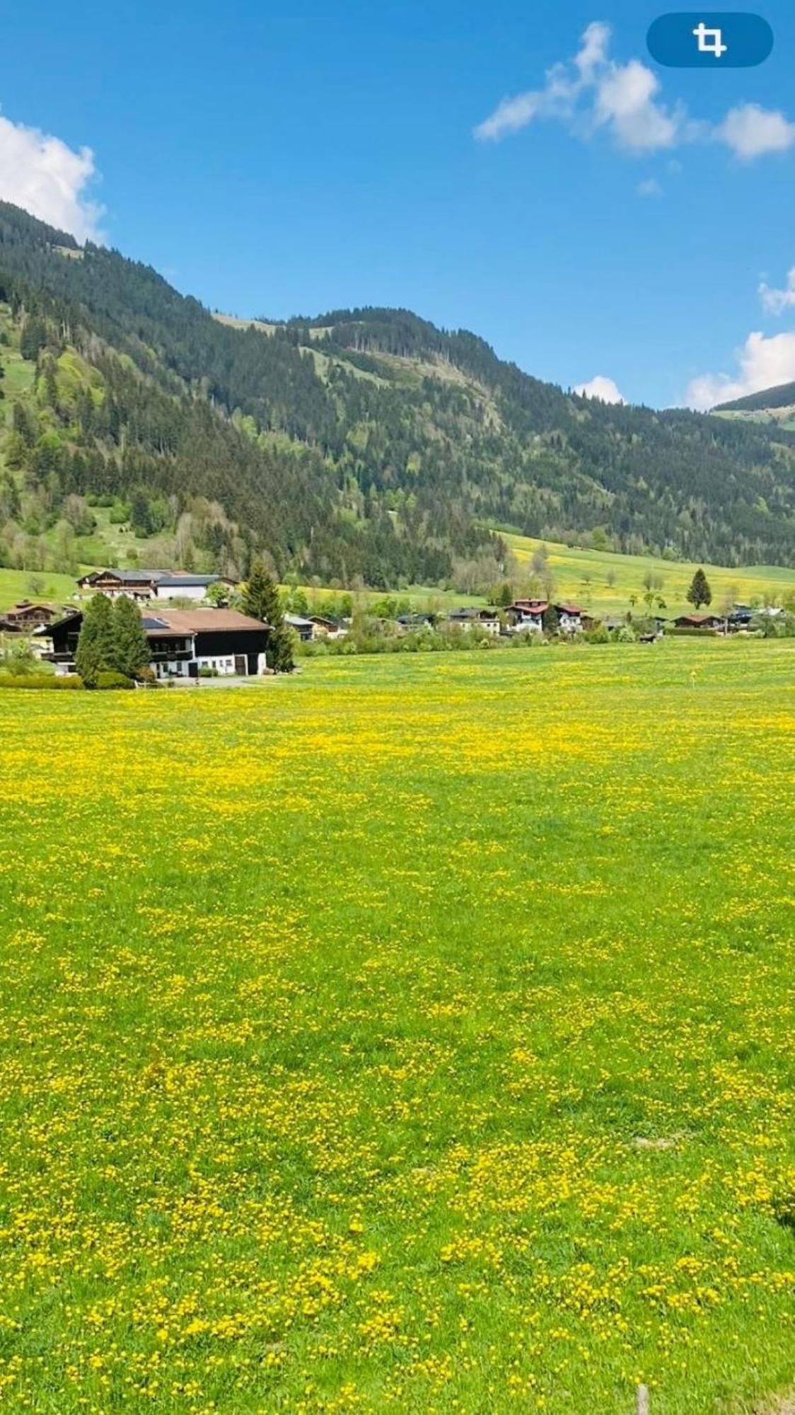 Landhaus Feller Reith bei Kitzbühel Extérieur photo